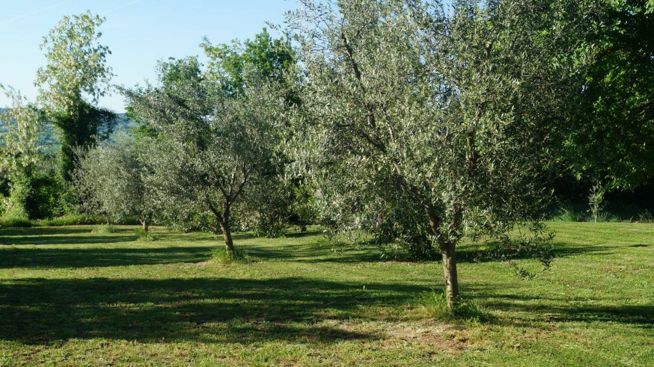Agriturismo Poggio San Pietro Pitigliano Eksteriør bilde