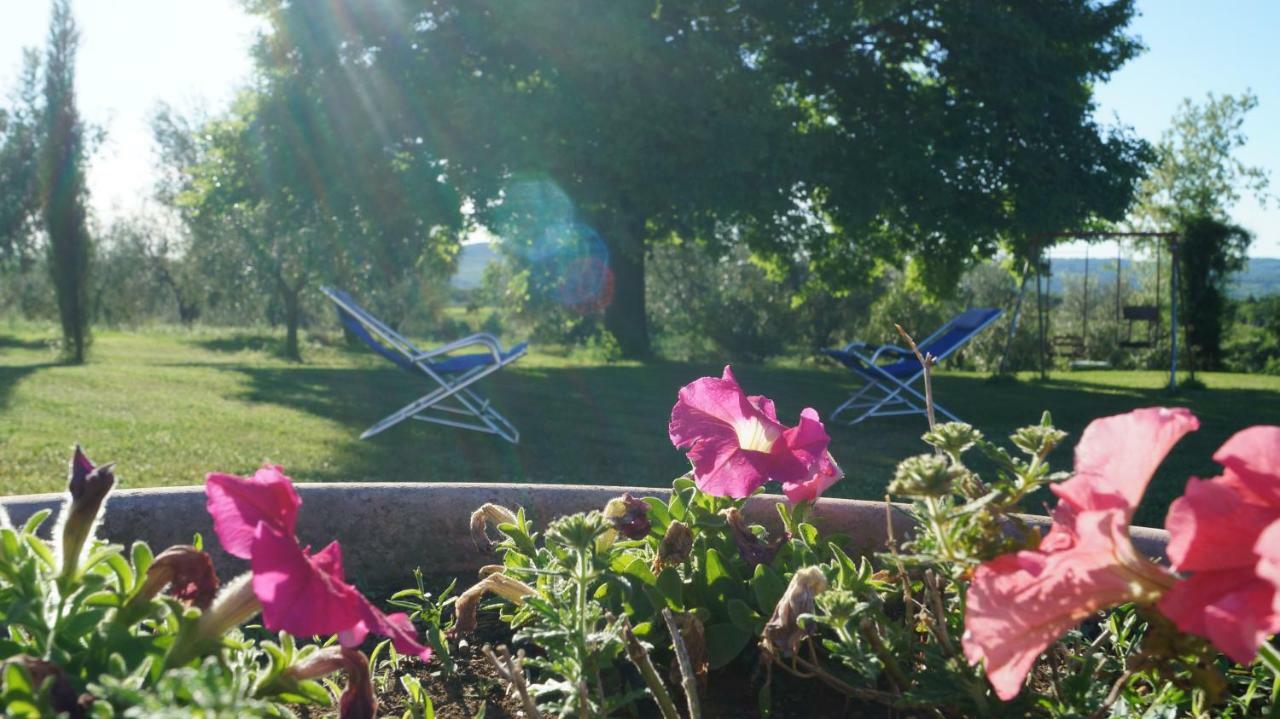 Agriturismo Poggio San Pietro Pitigliano Eksteriør bilde